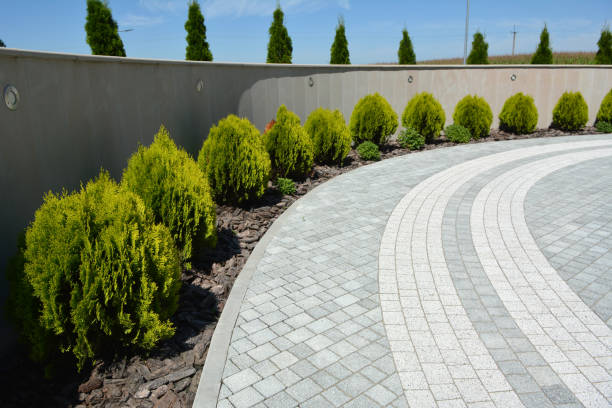 Best Brick Driveway Pavers  in Forest City, NC